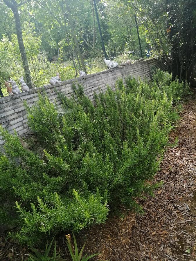 Apartments With A Parking Space Dramalj, Crikvenica - 5592 Luaran gambar